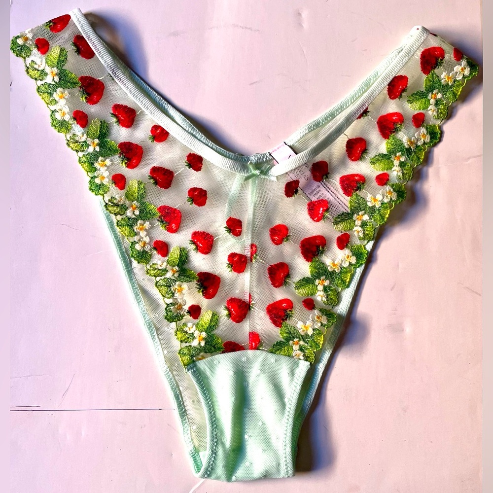 Victoria’s Secret BRAZILIAN /SLIP Embroidered panties, Size M, Mint green